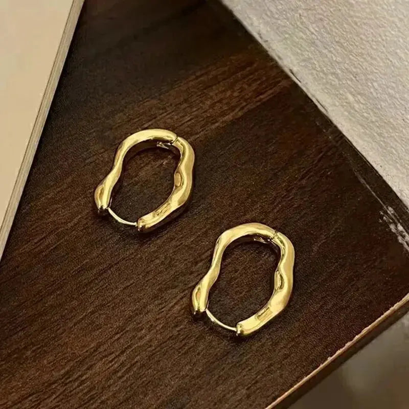 Elegant Stainless Steel Hoop Earrings LumeaWomen