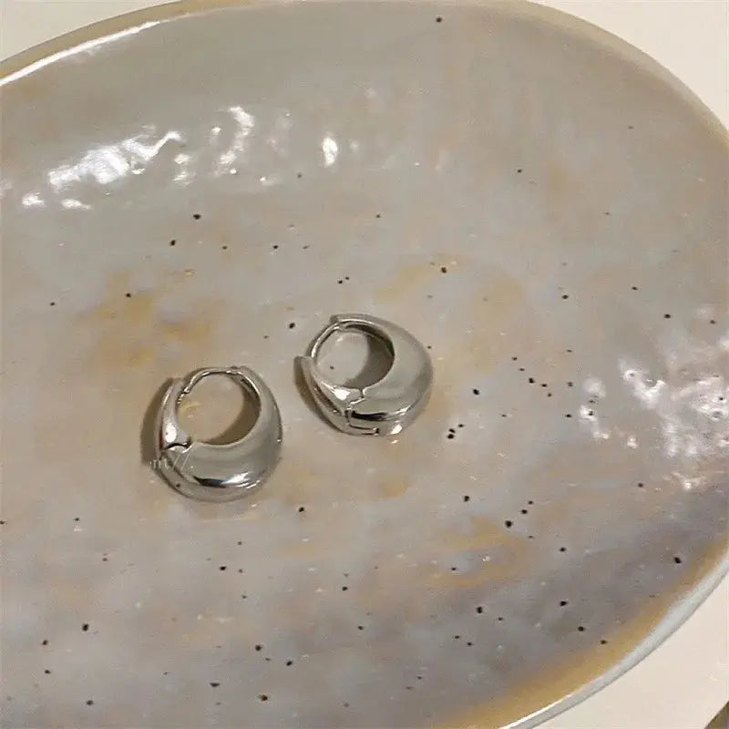 Elegant Stainless Steel Hoop Earrings LumeaWomen