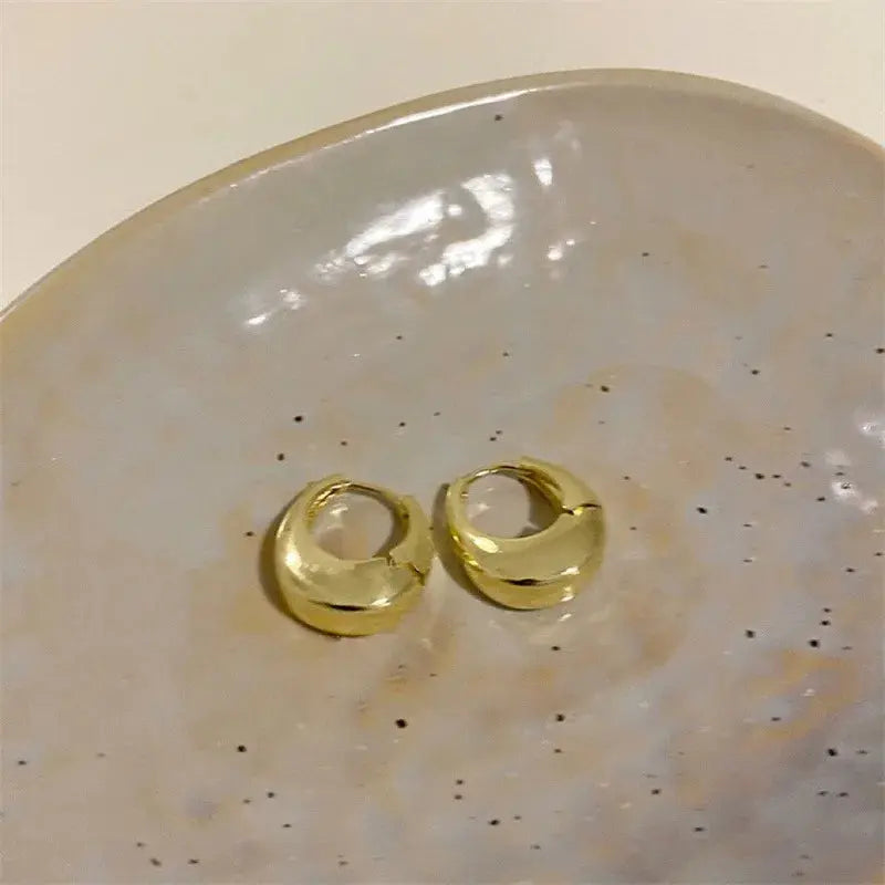 Elegant Stainless Steel Hoop Earrings LumeaWomen