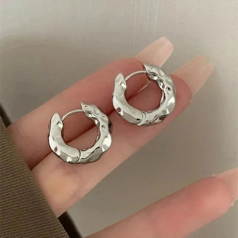 Elegant Stainless Steel Hoop Earrings LumeaWomen