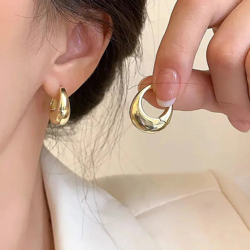 Elegant Stainless Steel Hoop Earrings LumeaWomen