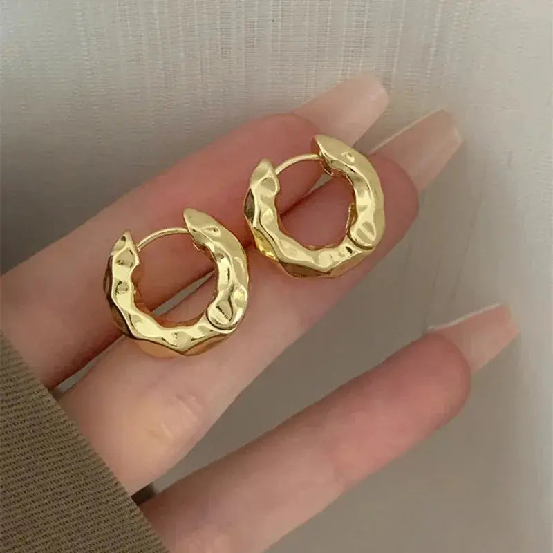 Elegant Stainless Steel Hoop Earrings LumeaWomen