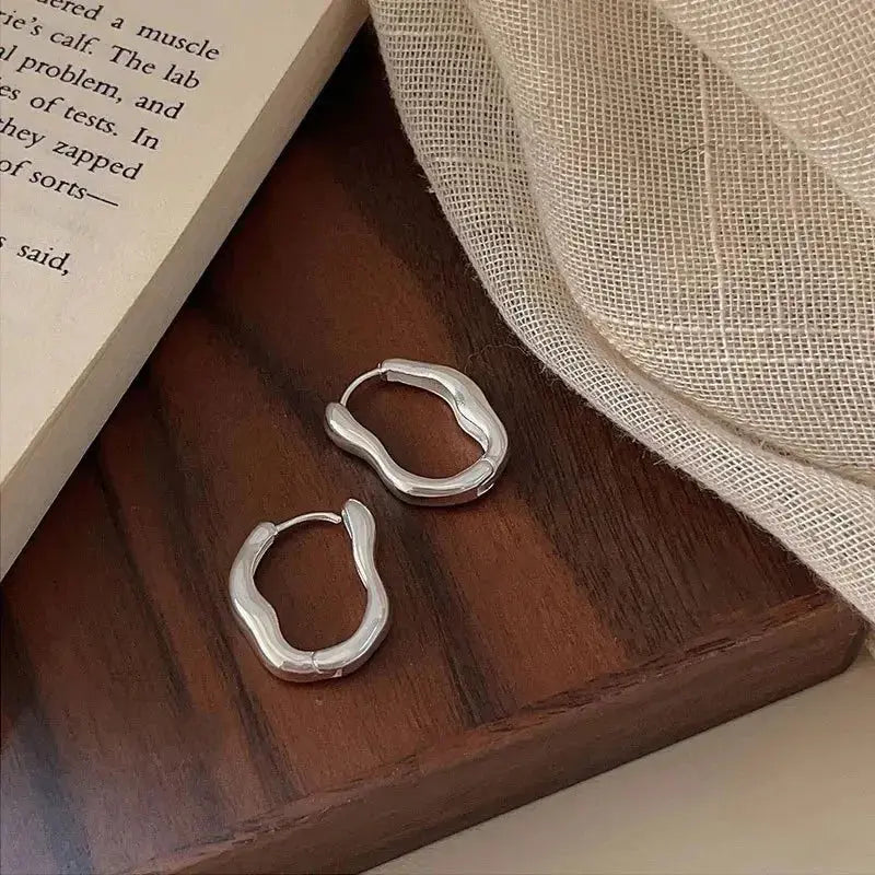 Elegant Stainless Steel Hoop Earrings LumeaWomen