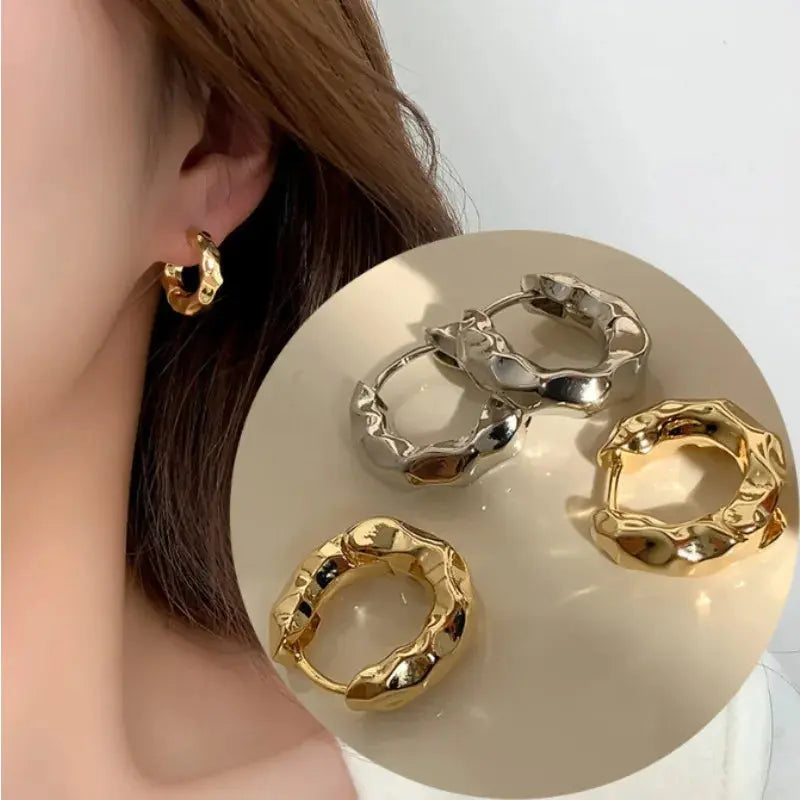 Elegant Stainless Steel Hoop Earrings LumeaWomen